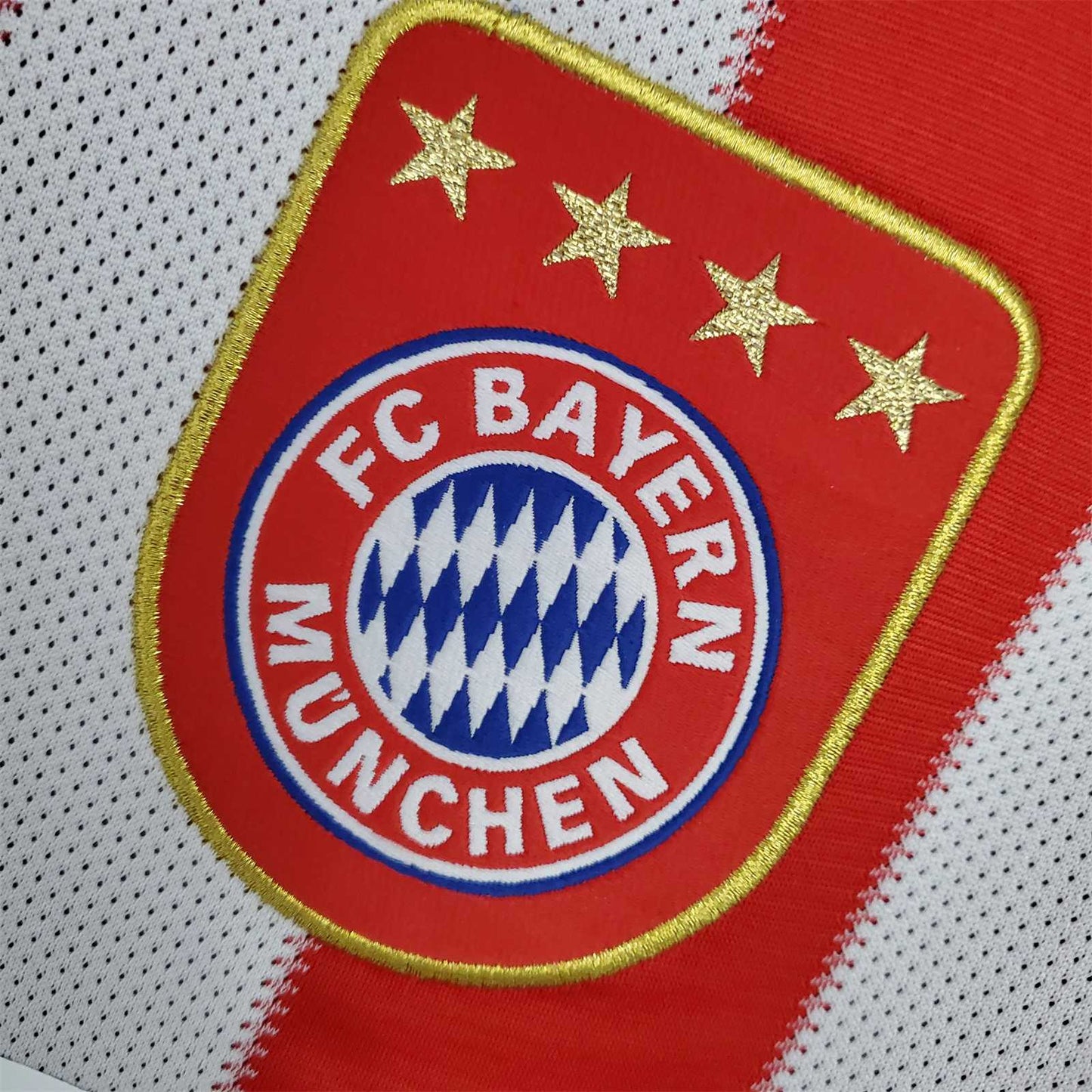 Bayern Monaco 2010/11 Casa