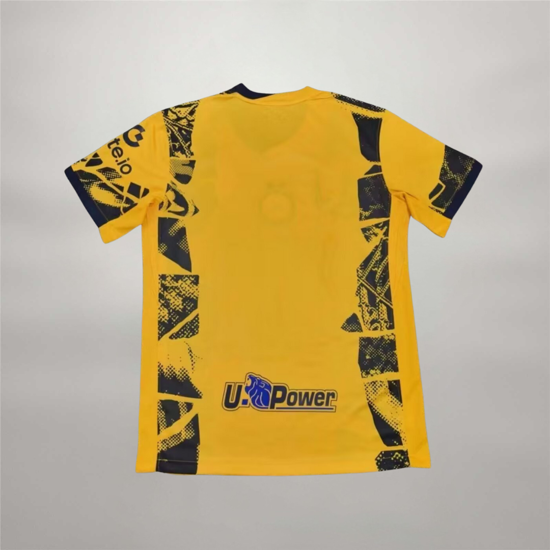 Inter 2024/25 Terza