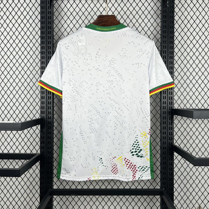 Cameroon 2026 Away Shirt