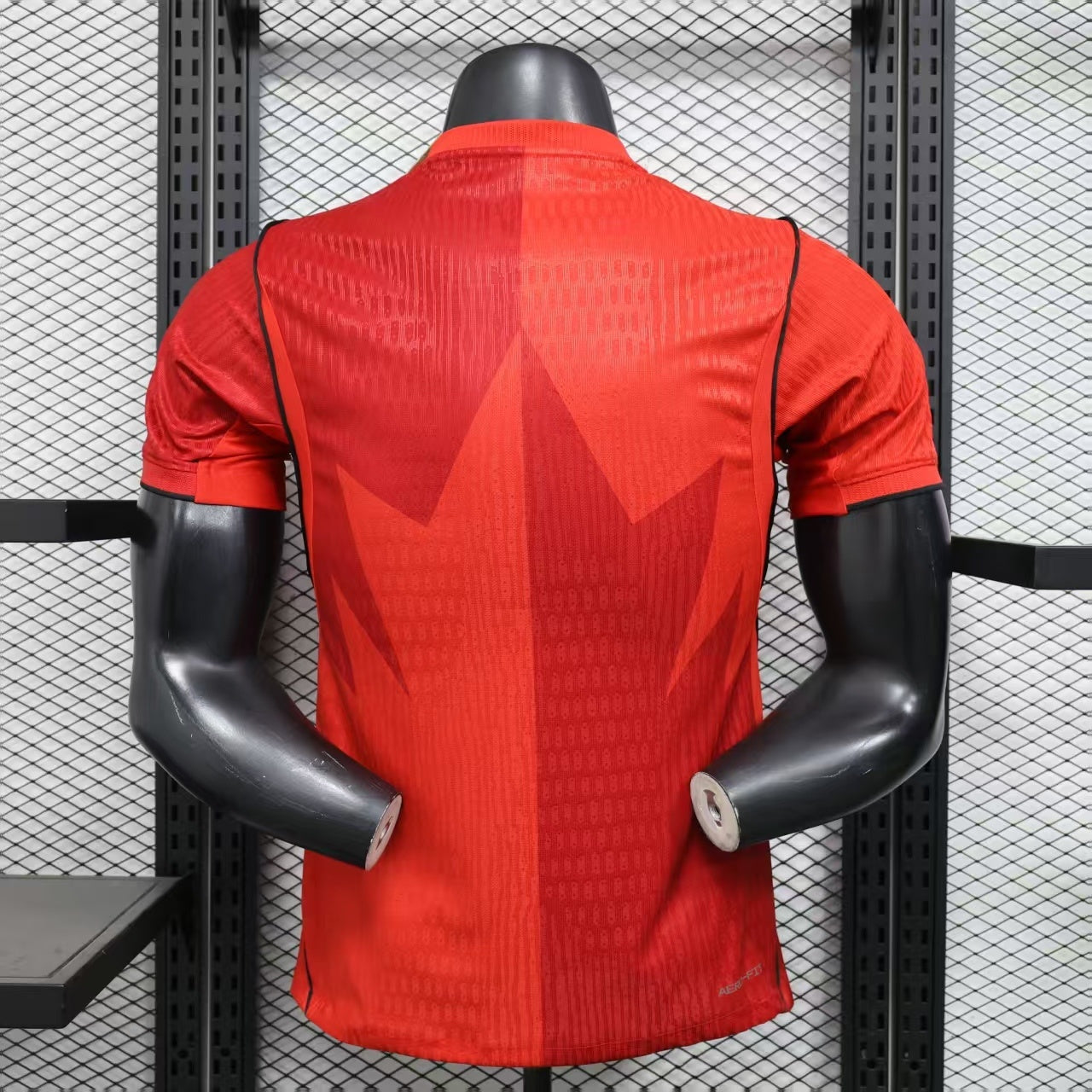 Canada 2026 Casa